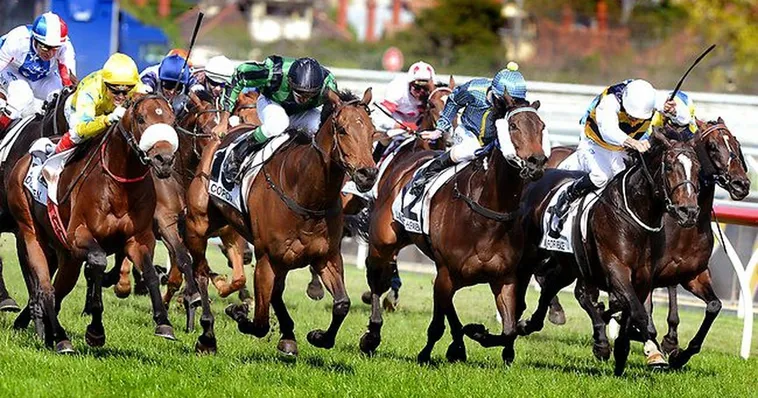 Tìm Hiểu Cá Cược Đua Ngựa Nohu90 Chi Tiết Hình Thức Tham Gia Và Cách Dự Đoán Kèo